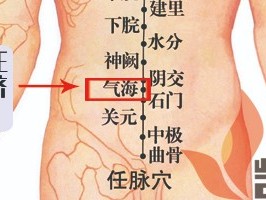 【轉載】要補氣，找氣海