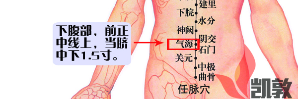 41.氣海穴