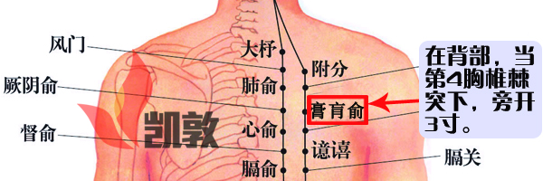 16.膏肓俞穴