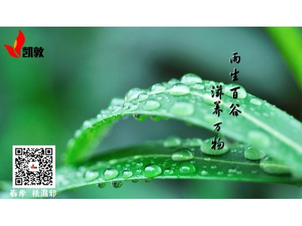 春雨貴如油