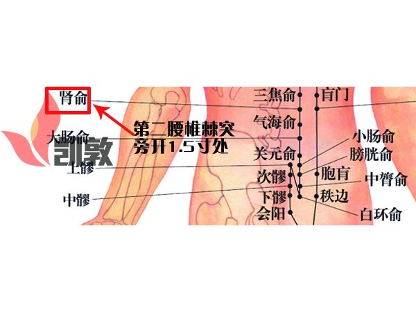 2.腎俞穴