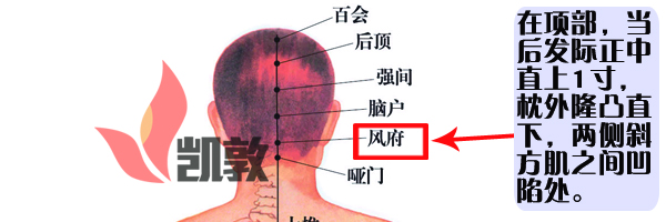 13.風(fēng)府穴