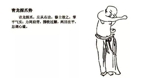 14.webp