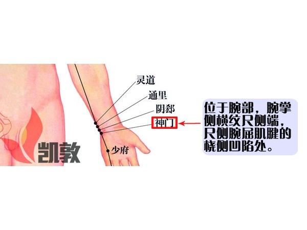 【凱敦穴位知識】神門穴